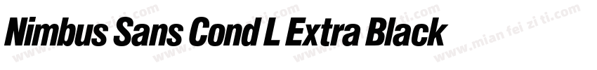 Nimbus Sans Cond L Extra Black字体转换